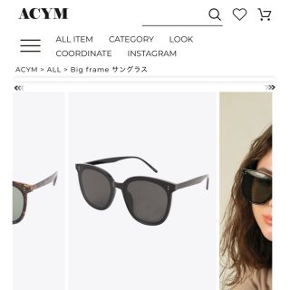 ザラ(ZARA)のACYM big frame サングラス(サングラス/メガネ)