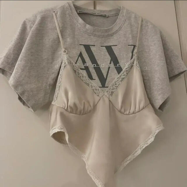 Alexander Wang(アレキサンダーワン)のalexanderwang アレキサンダーワン ブラックピンク ロゼ着用 メンズのトップス(Tシャツ/カットソー(半袖/袖なし))の商品写真