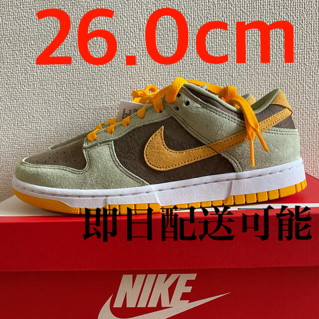 NIKE(ナイキ)のNIKE  DUNK LOW SE メンズの靴/シューズ(スニーカー)の商品写真