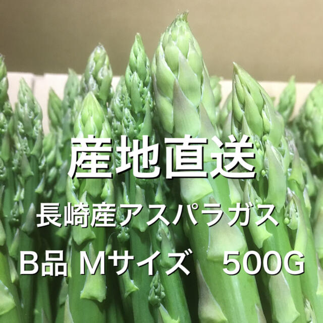 長崎産アスパラガス B品 Mサイズ 500G 食品/飲料/酒の食品(野菜)の商品写真