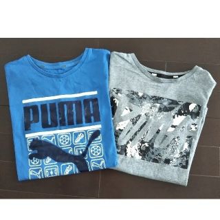 プーマ(PUMA)のPUMA  Tシャツ  150㎝  2枚セット(Tシャツ/カットソー)