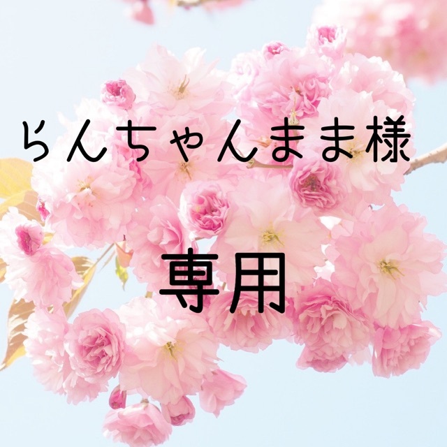 爆買い!】 チュンまま様専用 ecousarecycling.com