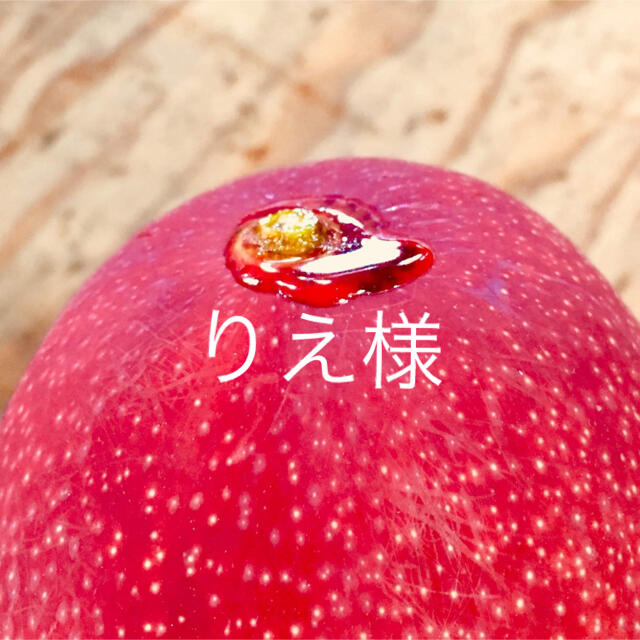 食品/飲料/酒宮崎県産 完熟マンゴー 自家用 4kg