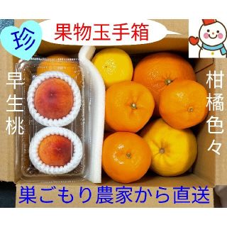 桃と柑橘♥果物玉手箱♥巣ごもり農家＝雪だるまから直送します(フルーツ)