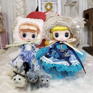【しろがね☆24様オーダー】《🌟💠ラピっ子doll》❁カスタムドルチェナ❁(人形)