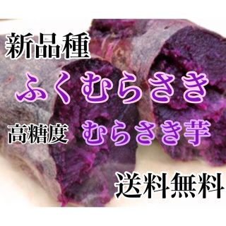 新品種‼️高糖度むらさき芋【ふくむらさき】コンパクトボックス1.2キロ超送料無料(野菜)
