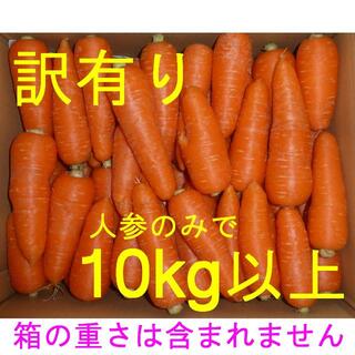 徳島産／ハウス栽培　人参　訳あり品（曲がり・角など）　10kg以上(野菜)