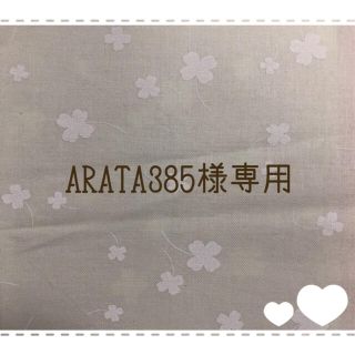 アラシ(嵐)の【ARATA385様専用】マスクケース (ポーチ)