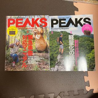 エイシュッパンシャ(エイ出版社)のPEAKS (ピークス) 2021年 03+05月号(趣味/スポーツ)