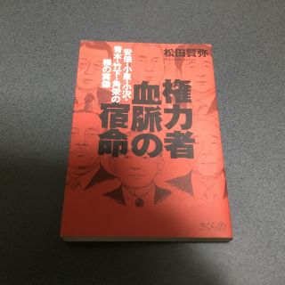 権力者 血脈の宿命 ―安倍・小泉・小沢・青木・竹下・角栄の裸の実像(ノンフィクション/教養)