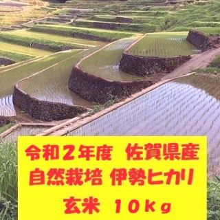 玄米10kg 【完全自然栽培の美味しいお米！】令和2年度佐賀県産！「伊勢ヒカリ」(米/穀物)