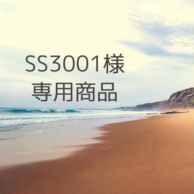 レディースSS3001さま2