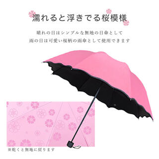 日傘　雨傘(傘)