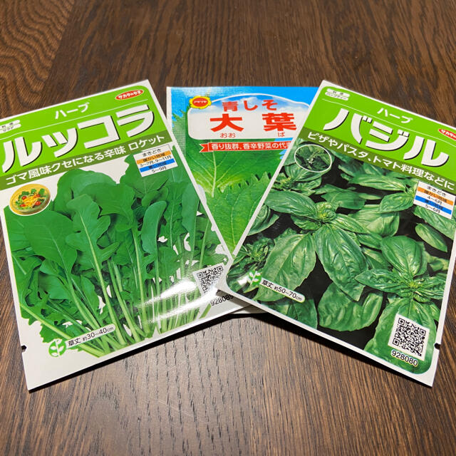 【プランター栽培】大葉50粒、バジル30粒以上、ルッコラ30粒以上。お得！！ 食品/飲料/酒の食品(野菜)の商品写真