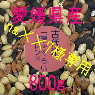 na××7様専用 古代米3種ふぞろいブレンド　愛媛県産　800ｇ(米/穀物)