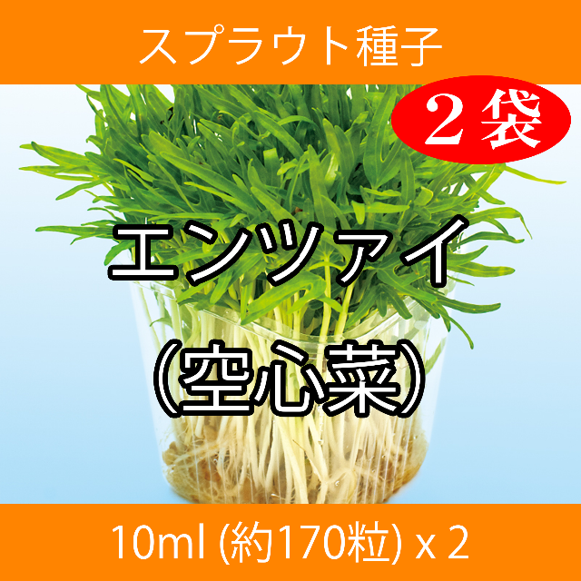 スプラウト種子 S-14 エンツァイ（空心菜） 10ml 約170粒 x 2袋 食品/飲料/酒の食品(野菜)の商品写真