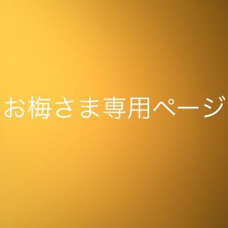 お梅さま専用ページ(おもちゃ/雑貨)