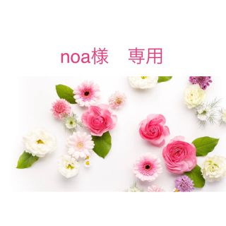 noa様専用(ブラ&ショーツセット)