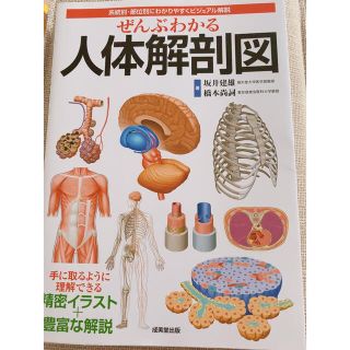 ぜんぶわかる人体解剖図 系統別・部位別にわかりやすくビジュアル解説(その他)