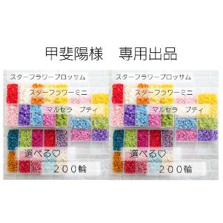 甲斐陽様　専用出品　スターフラワー　選べる♡２００輪　小花セット(各種パーツ)