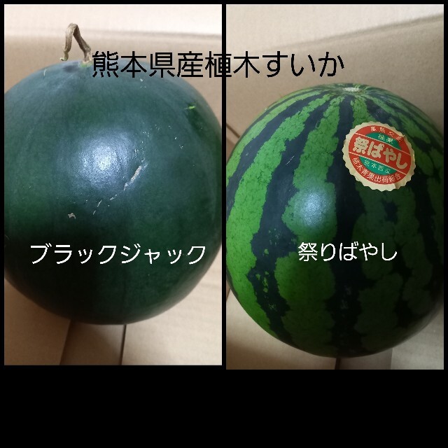 熊本県産植木すいか　家庭用食べ比べセット 食品/飲料/酒の食品(フルーツ)の商品写真