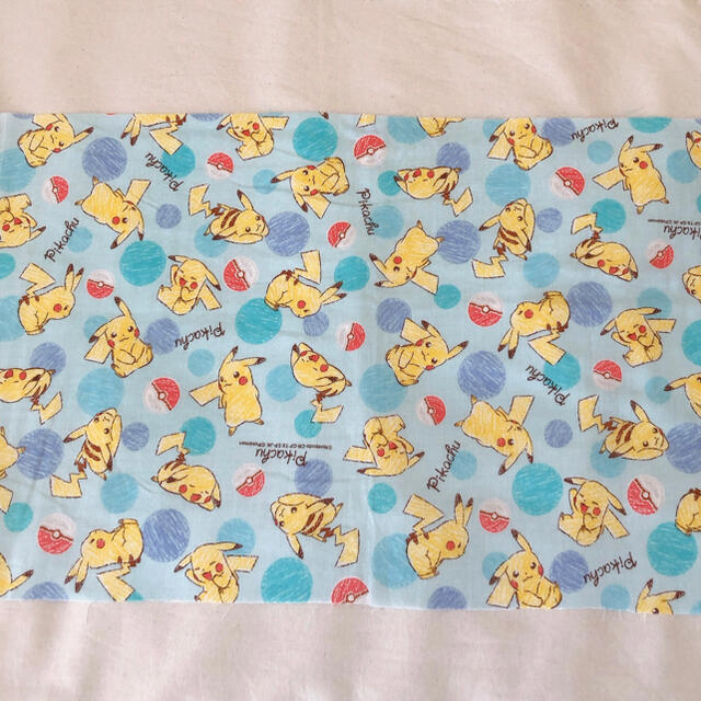 みかん様専用 ダブルガーゼ生地ポケモン ピカチュウ色鉛筆タッチの通販 By かえで S Shop ラクマ みかん様専用 ダブルガーゼ生地ポケモン ピカチュウ色鉛筆タッチの通販 By かえで S Shop ラクマ