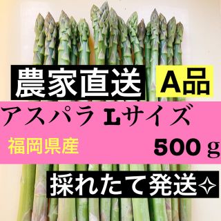 アスパＬサイズ 即購入OKです(野菜)