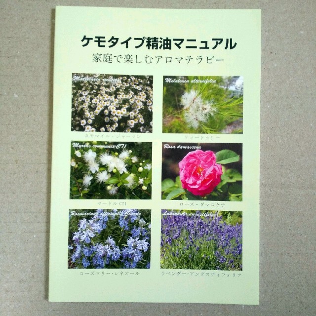 PRANAROM(プラナロム)のケモタイプ精油マニュアル 家庭で楽しむアロマテラピー エンタメ/ホビーの本(健康/医学)の商品写真