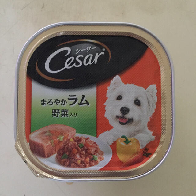 CASAR(シーザー)のシーザー各種 その他のペット用品(ペットフード)の商品写真