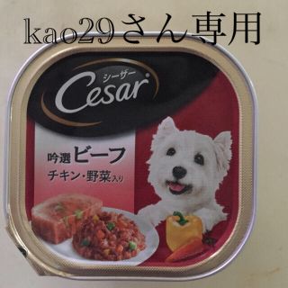 シーザー(CASAR)のシーザー各種(ペットフード)