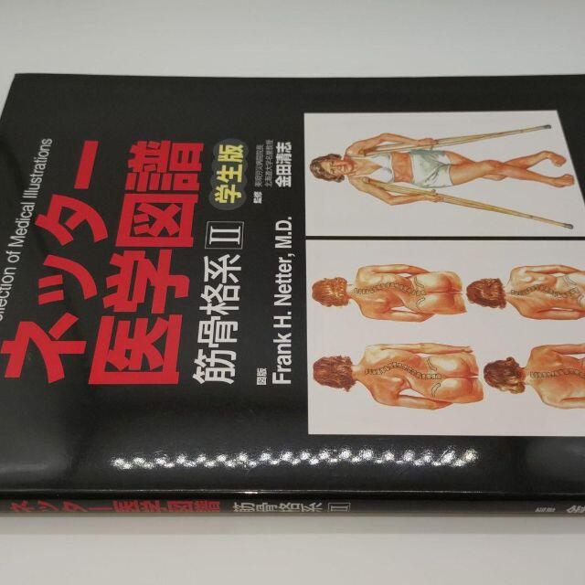 ネッタ－医学図譜 学生版 筋骨格系　１