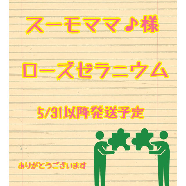 スーモママ♪様　ローズゼラニウムカット苗梱包材含め100g以内 ハンドメイドのフラワー/ガーデン(その他)の商品写真