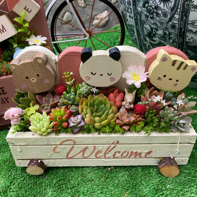 ひいさま多肉植物寄せ植え ハンドメイドのフラワー/ガーデン(その他)の商品写真