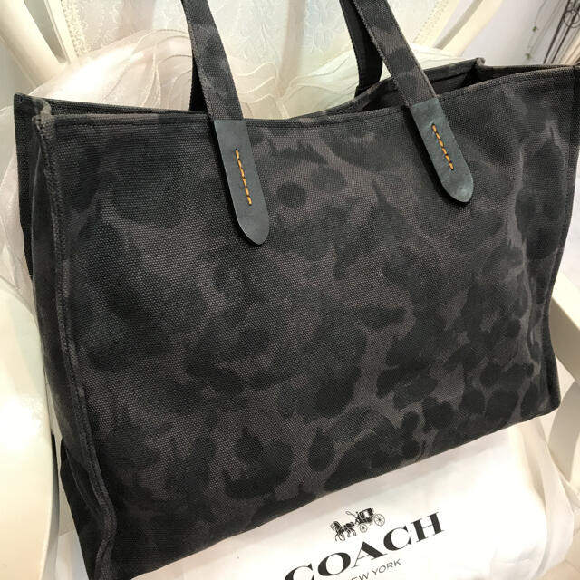 ☆美品☆COACH コーチ レキシー キャンバストート ダイナソー
