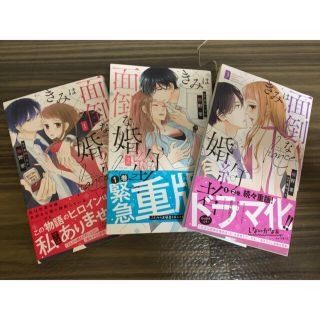 きみは面倒な婚約者　1〜3巻(女性漫画)