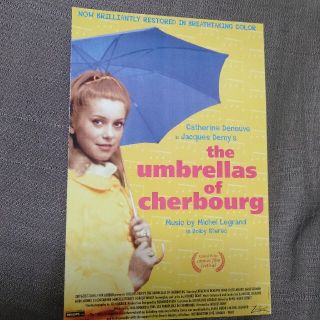 シェルブールの雨傘　カトリーヌ・ドヌーヴ　フランス　映画　ポストカード　傘　雨(印刷物)