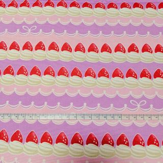 ハンドメイド 生地 布 はぎれ いちご　ショートケーキ(生地/糸)