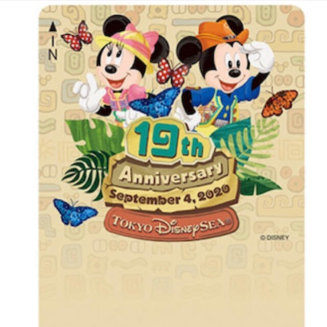 Disney(ディズニー)のディズニーリゾートライン　フリーきっぷ　19th Anniversary 使用済 チケットの乗車券/交通券(鉄道乗車券)の商品写真