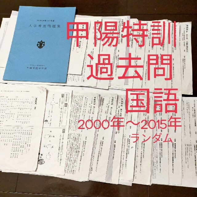 日能研 甲陽特訓 国語 入学考査問題集