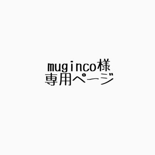 ニンテンドウ(任天堂)のmuginco様専用ページ(その他)