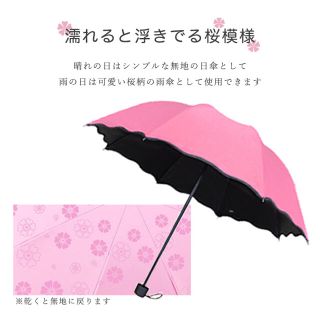 折りたたみ傘　桜(傘)