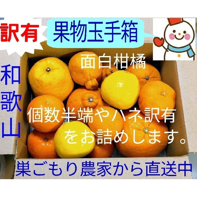 出来ました❗訳有果物玉手箱♥巣ごもり農家＝雪だるまから直送 食品/飲料/酒の食品(フルーツ)の商品写真