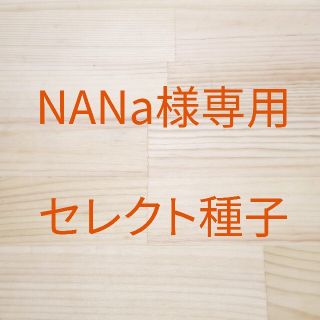 NANa様専用　セレクト種子　11袋(野菜)