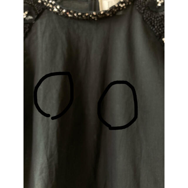 Laula(ラウラ)のラウラ　laula ブラウス　トップス　カットソー　刺繍　 レディースのトップス(シャツ/ブラウス(半袖/袖なし))の商品写真