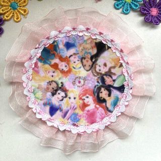 ディズニー(Disney)のプリンセス　大ワッペン❣️(その他)