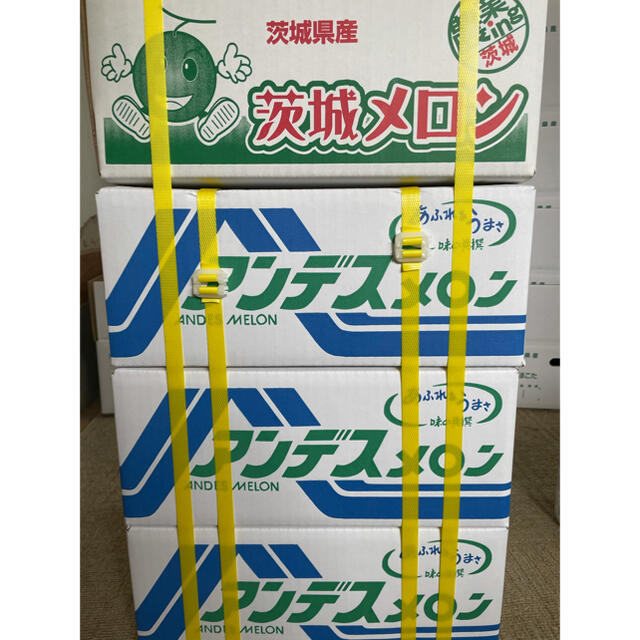 ゆさん様専用 食品/飲料/酒の食品(フルーツ)の商品写真