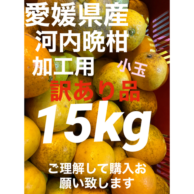 愛媛県産　河内晩柑訳あり15kg 小玉 食品/飲料/酒の食品(フルーツ)の商品写真