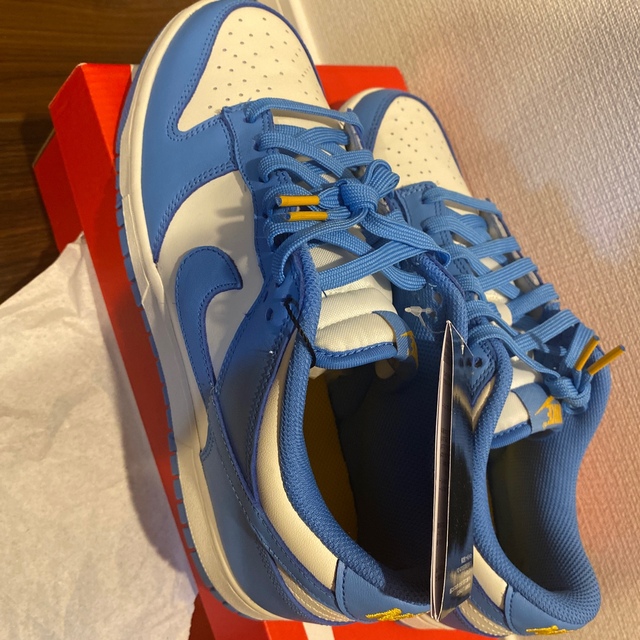 NIKE(ナイキ)のNIKE WMNS DUNK LOW "COAST"  メンズの靴/シューズ(スニーカー)の商品写真