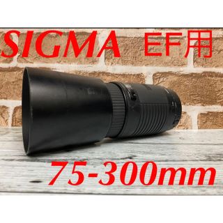 シグマ(SIGMA)の即日発送可！SIGMA DL ZOOM レンズ(レンズ(ズーム))