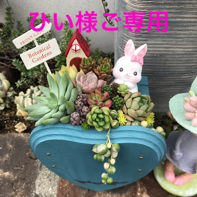 ★多肉植物　寄せ植え〜ラブリーハート型の木箱寄せ〜★プランター